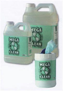 Megaclean Manpower services .